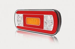 Led combination lamp with reverse